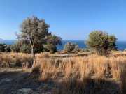 Ag. Paraskevi bei Triopetra Kreta, Agia Paraskevi: Bebaubares Grundstück in der Nähe der Strände Triopetra und Ligres zu verkaufen Grundstück kaufen